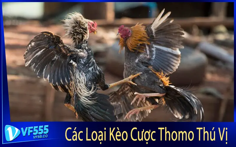 Các Loại Kèo Cược Thomo Thú Vị