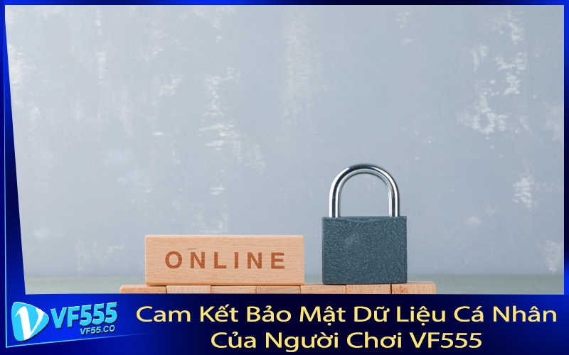Cam Kết Bảo Mật Dữ Liệu Cá Nhân Của Người Chơi VF555