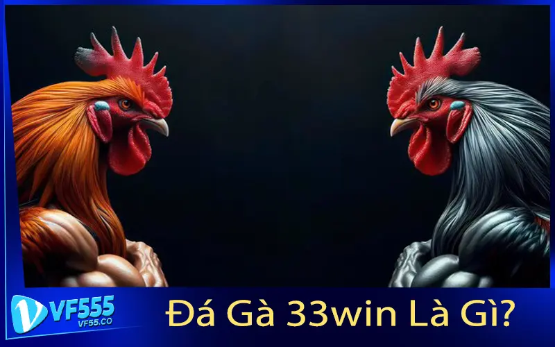 Đá Gà 33win Là Gì?