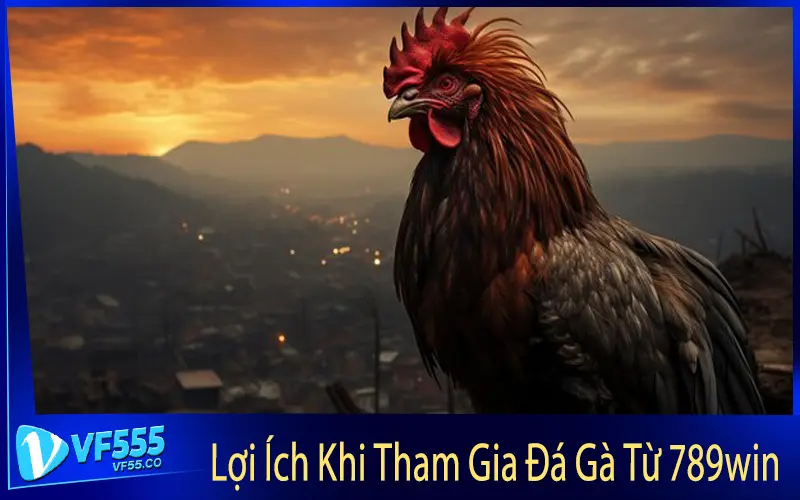 Lợi Ích Khi Tham Gia Đá Gà Từ 789win