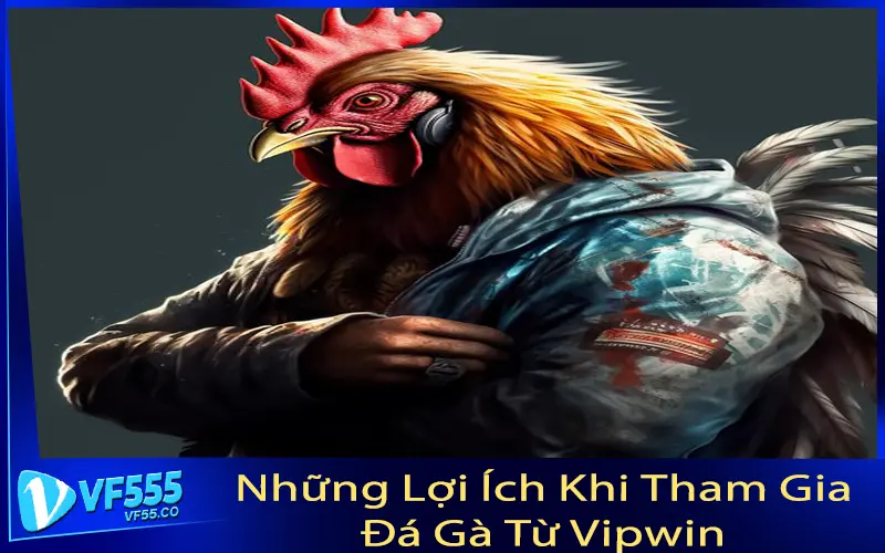 Những Lợi Ích Khi Tham Gia Đá Gà Từ Vipwin