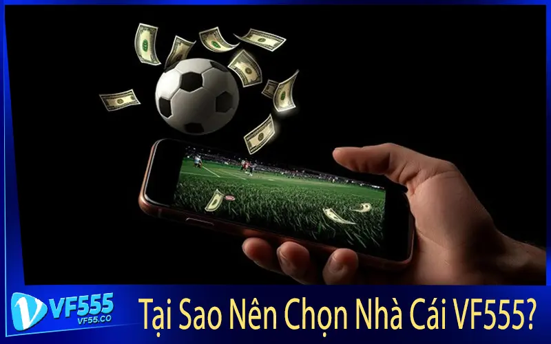 Tại Sao Nên Chọn Nhà Cái VF555?