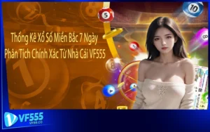 Thống Kê Xổ Số Miền Bắc 7 Ngày - Phân Tích Chính Xác Từ Nhà Cái VF555