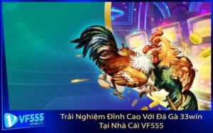 Trải Nghiệm Đỉnh Cao Với Đá Gà 33win Tại Nhà Cái VF555