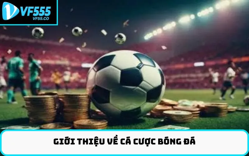 Giới thiệu về cá cược bóng đá