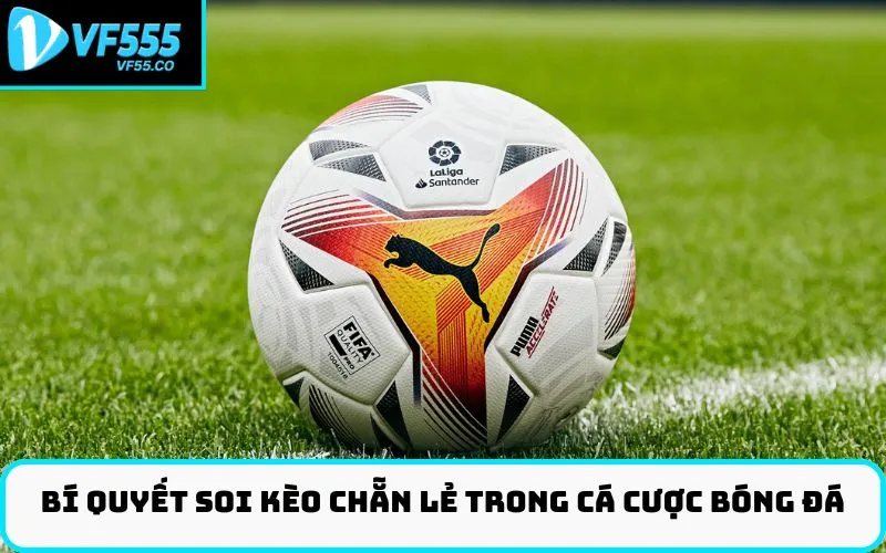 Bí quyết soi kèo chẵn lẻ trong cá cược bóng đá