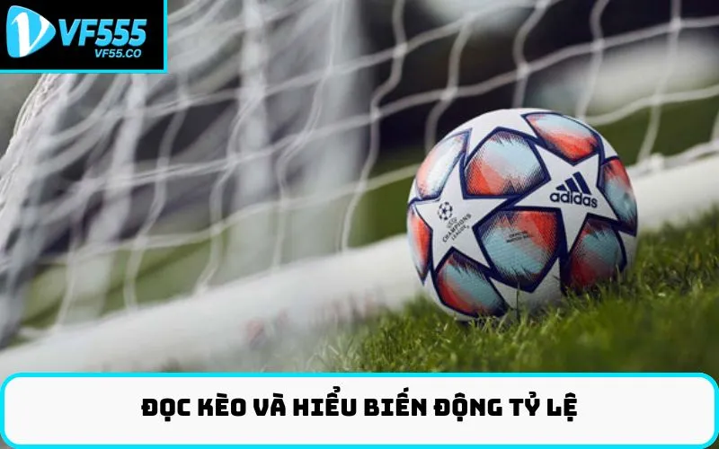 Đọc kèo và hiểu biến động tỷ lệ