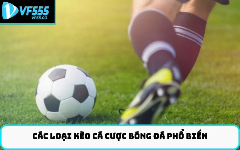Các loại kèo Cá cược bóng đá phổ biến