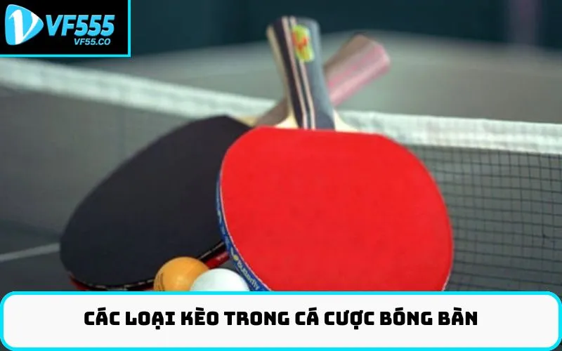 Các loại kèo trong Cá cược bóng bàn