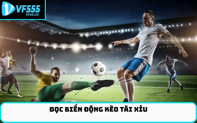 Đọc biến động kèo Tài Xỉu